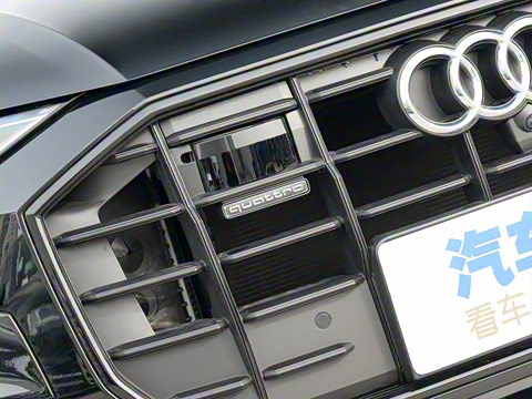 2022�� 55 TFSI ��ѩ�˶���