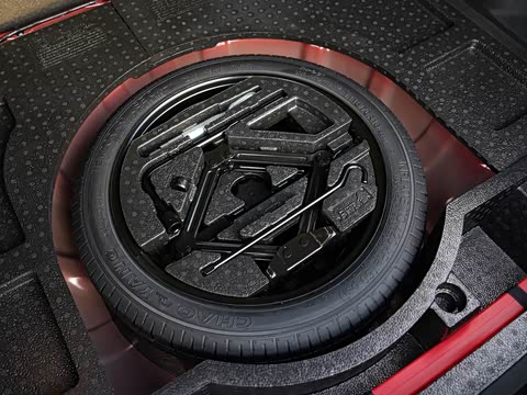 2019�� 20T �Զ�Trophyʮ�����