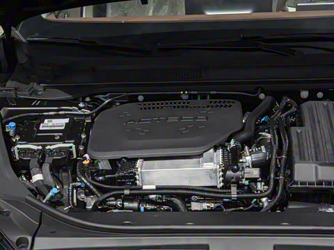 2025�� 260����������