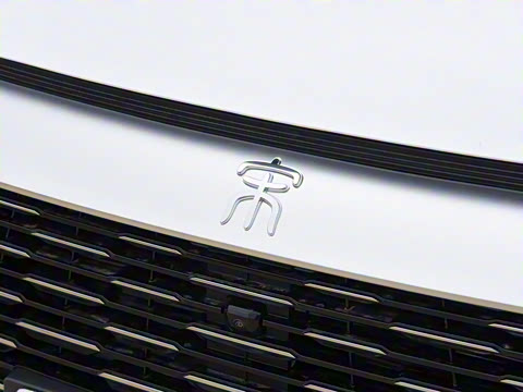 2023�� �ھ��� DM-i 110KM��Խ��