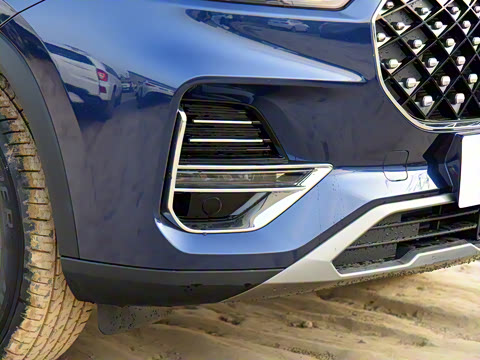 2021�� 290TGDI DCT������