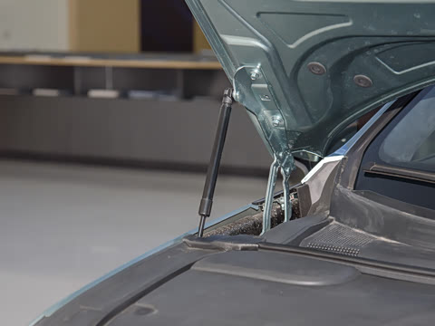 2025�� �����˶���