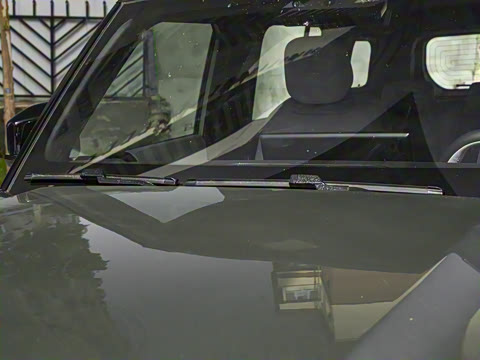 2025�� 501���������