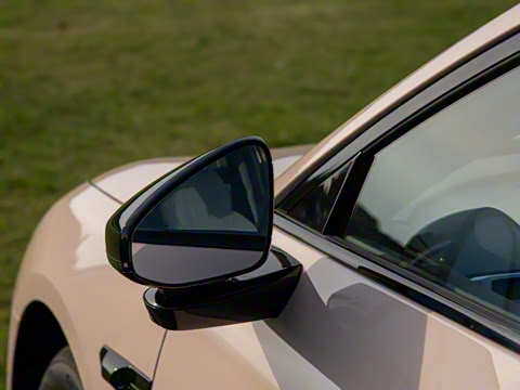 2025�� 600 �������� Max