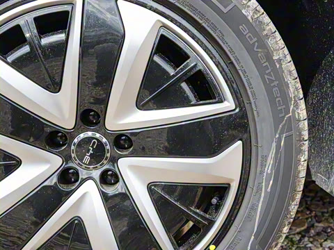 2025�� 135 �����ܼ����״��