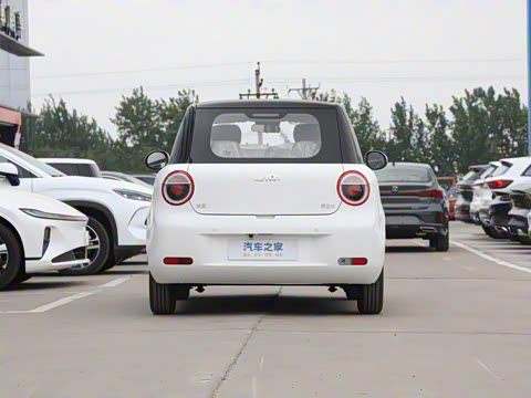 2025�� 205km ���߿�