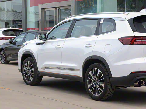 2024�� �ھ��� 390T �����۷�� 5��