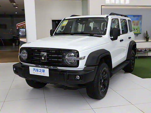 2025�� 2.0T ��ս��