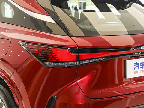 2025�� 300 ����������