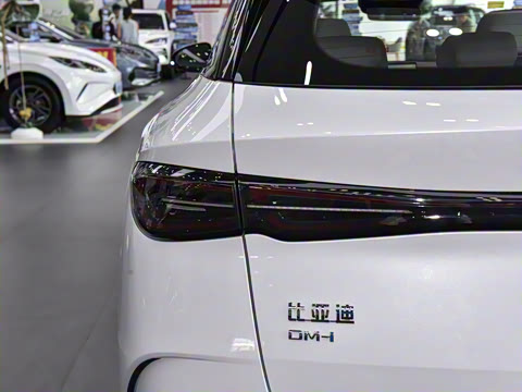 2025�� DM-i 80KM�����