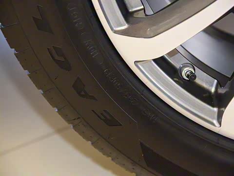 2019�� 3.0T ��׼�� ��VI