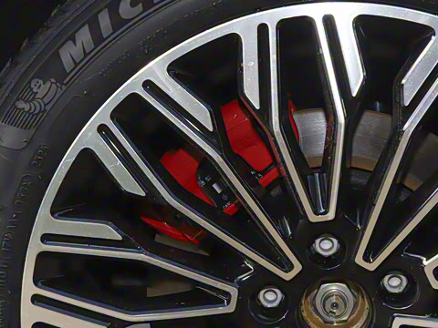 2025�� FREE+ ����Ǭ����