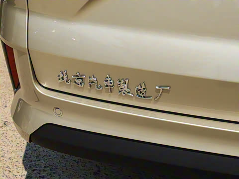 2025�� 2.0L �ֶ���������� 7��