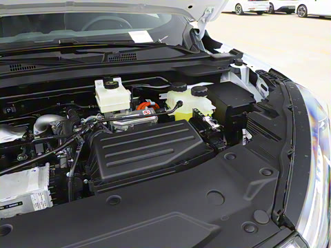 2025�� 205��������������