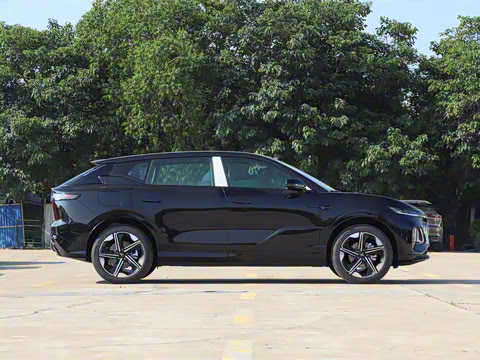 2024�� ������������