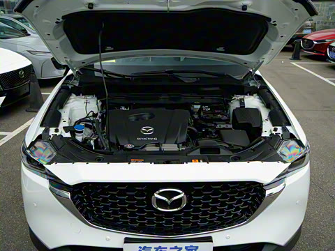 2025�� 2.0L �Զ�����������