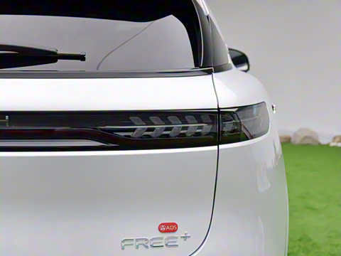 2025�� FREE+ ����Ǭ����