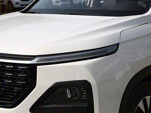 2020�� 1.5T CVT������� 5��