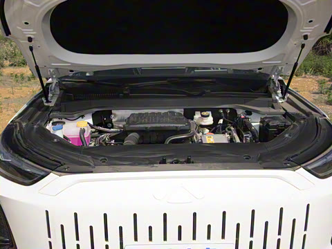 2025�� 120 �������������� 5�� �������