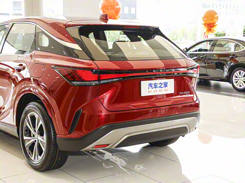 2025�� 300 ����������