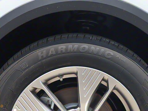 2025�� 445km ���ð�