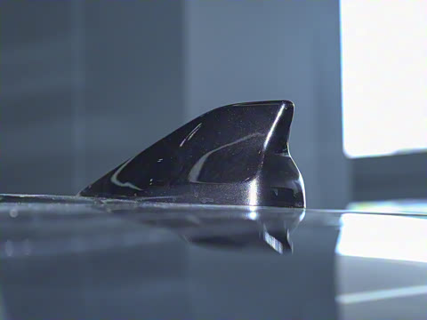 2025�� 180 ��������Max���� 7��