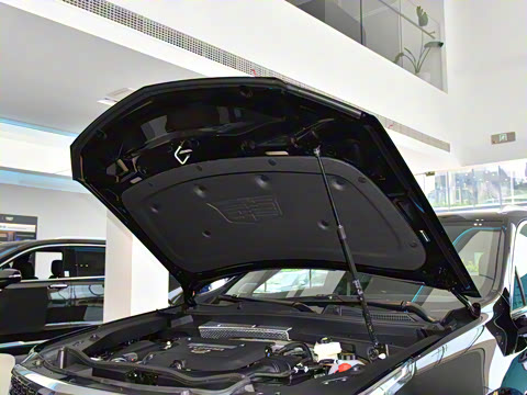 2024�� �Ŀ� 28T ����������