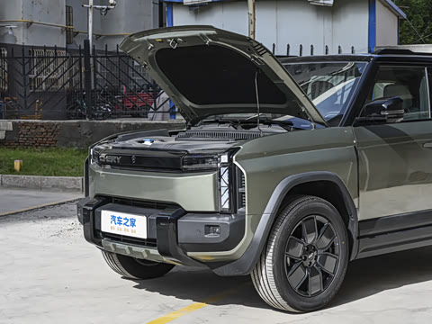 2025�� 501���������