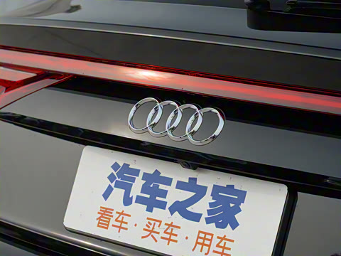 2022�� 55 TFSI ��ѩ�˶���