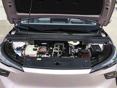 2025�� 445km ���ð�