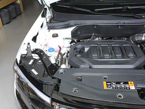 2025�� EcoBoost 170 ������