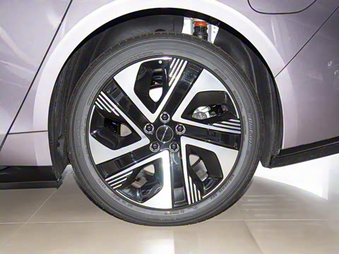 2024�� 555������