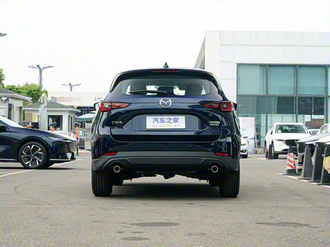 2025�� 2.0L �Զ�����������