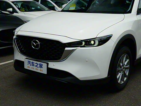 2025�� 2.0L �Զ�����������