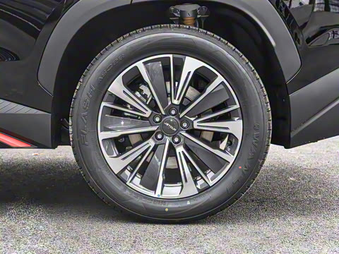 2024�� 1.6T DCT ����PRO