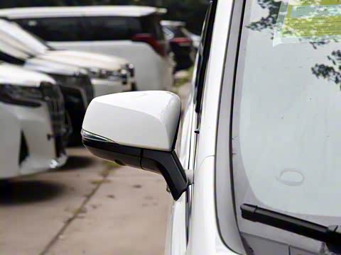 2019�� ˫�� 2.5L ����