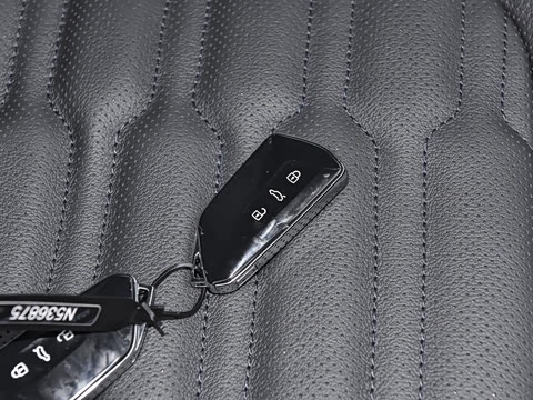 2021�� ;��X 530 V6 ������������