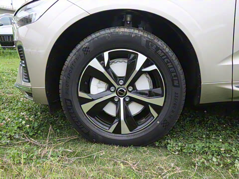 2026�� B5 �������ݺ�����