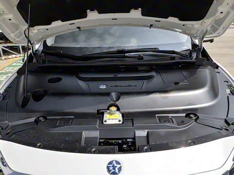 2019�� ������������