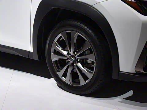 2019�� 200 F SPORT��