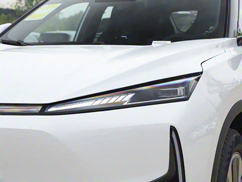 2025�� 205��������������