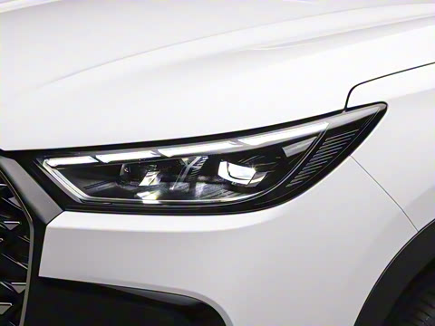 2025�� 290TGDI DCT�˷�� 