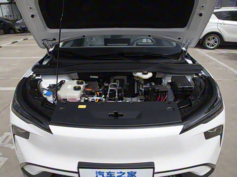 2025�� 445km ���ð�