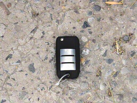 2019�� ���������