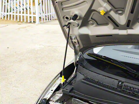 2025�� 205km ���߿�