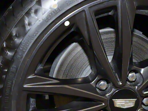 2023�� 25T ������