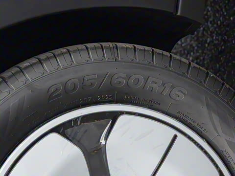 2025�� 310km �ഺ��