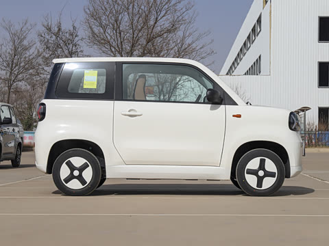 2025�� Pro 201km ���ư�