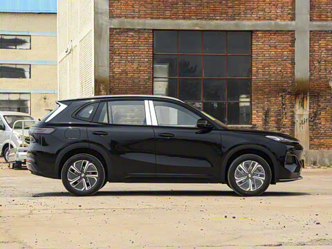 2025�� 55km ������