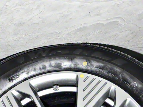 2025�� 445km ��ѡ��